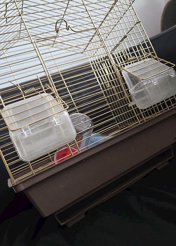 muhabbet kuşu kafesi - Görsel 2