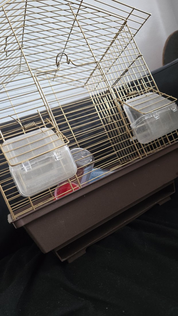 muhabbet kuşu kafesi - Görsel 2