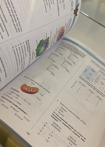 9. Sınıf Extra Biyoloji Soru Bankası - Görsel 2