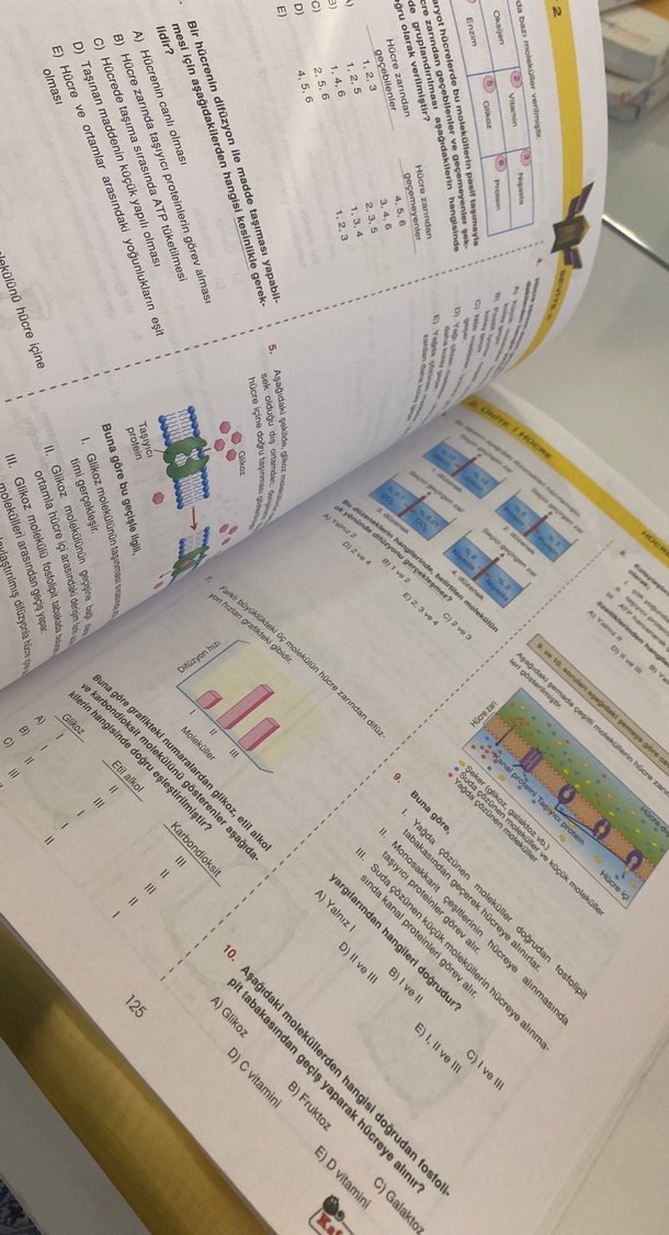 9. Sınıf Extra Biyoloji Soru Bankası - Görsel 3