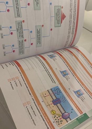 9. Sınıf Biyoloji Konu Anlatımlı Kitap - Görsel 2