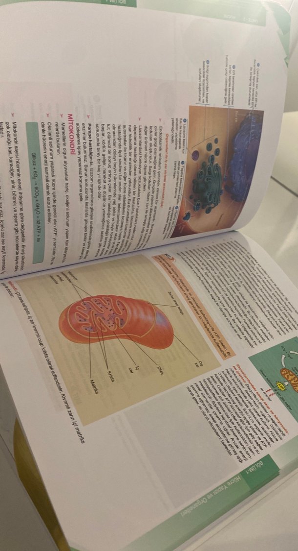 9. Sınıf Biyoloji Konu Anlatımlı Kitap - Görsel 3