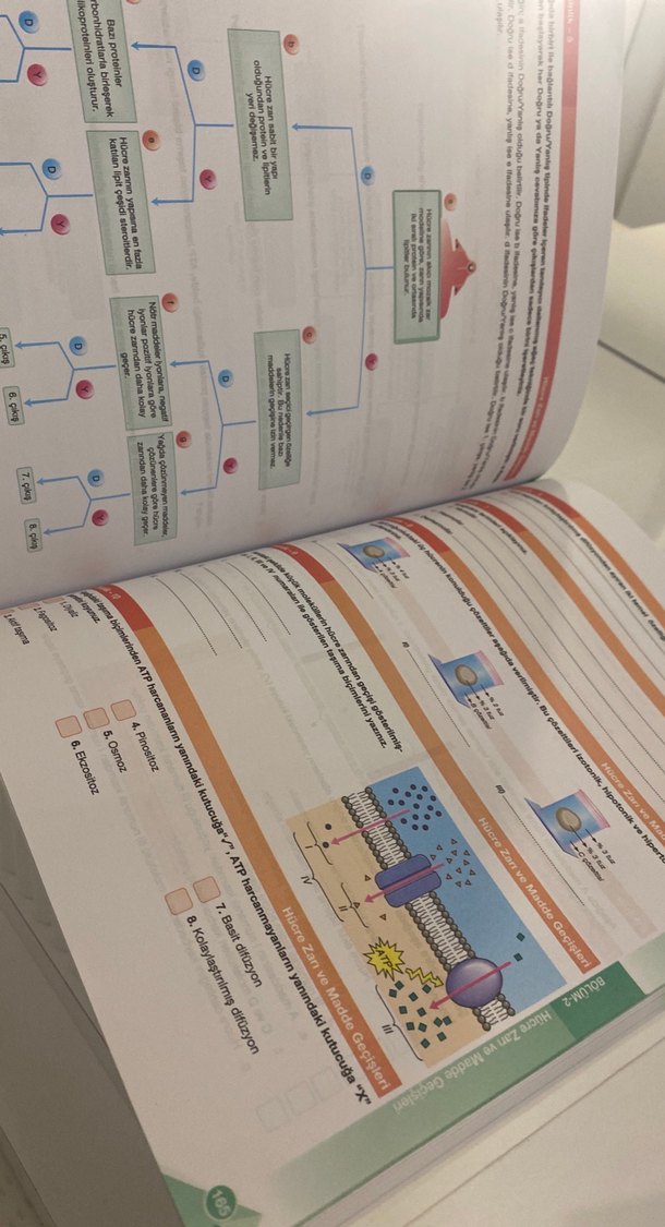 9. Sınıf Biyoloji Konu Anlatımlı Kitap - Görsel 2