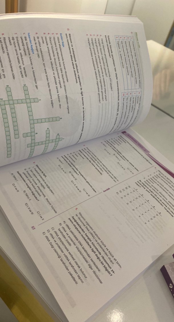 9. Sınıf Biyoloji Soru Bankası - Görsel 4
