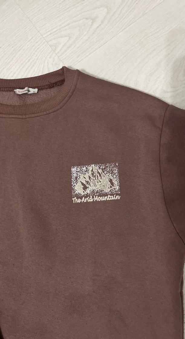 Kahverengi arkası Baskılı Kadın Sweatshirt - Görsel 2