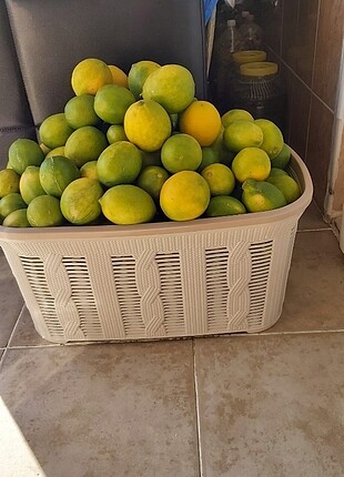 Cukurova limonu