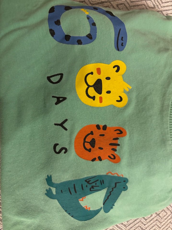 Yeşil Baskılı Erkek Bebek Takım - Görsel 4