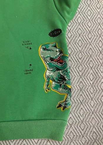 Erkek Çocuk Yeşil Baskılı Sweatshirt - Görsel 3