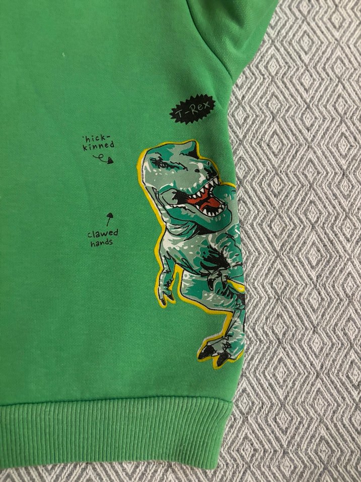 Erkek Çocuk Yeşil Baskılı Sweatshirt - Görsel 3