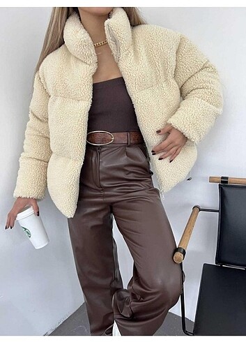teddy mont