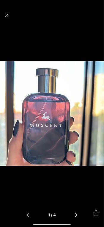 Muscent F372 Rock n Rose