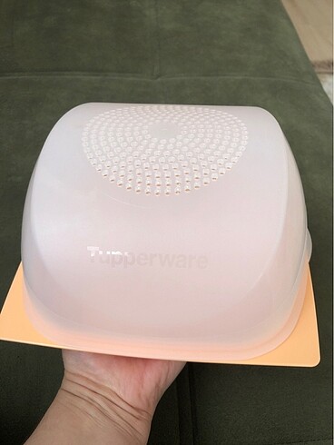 Tupperware peynir kabı