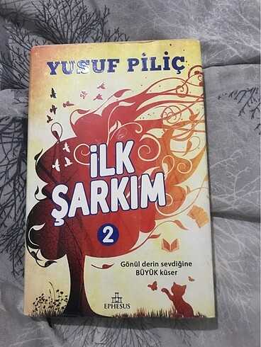 İlk şarkım Yusuf piliç