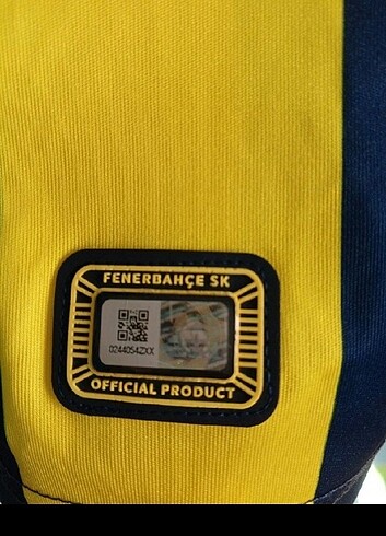 Fenerbahçe orijinal forma - Görsel 3