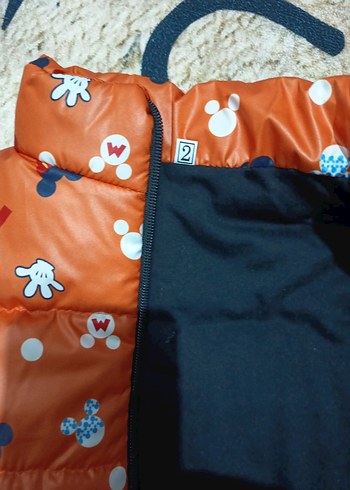 Çok Renkli Erkek Çocuk Fermuarlı Yelek - Görsel 2