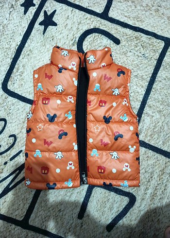 Çok Renkli Erkek Çocuk Fermuarlı Yelek - Görsel 4