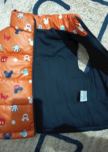 Çok Renkli Erkek Çocuk Fermuarlı Yelek - Görsel 3