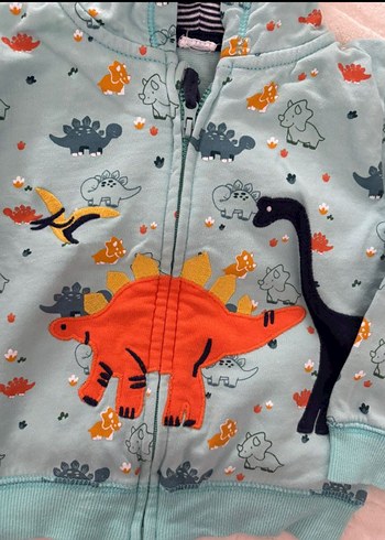 Kapüşonlu Fermuarlı Erkek Çocuk Dinozor Sweatshirt - Görsel 2