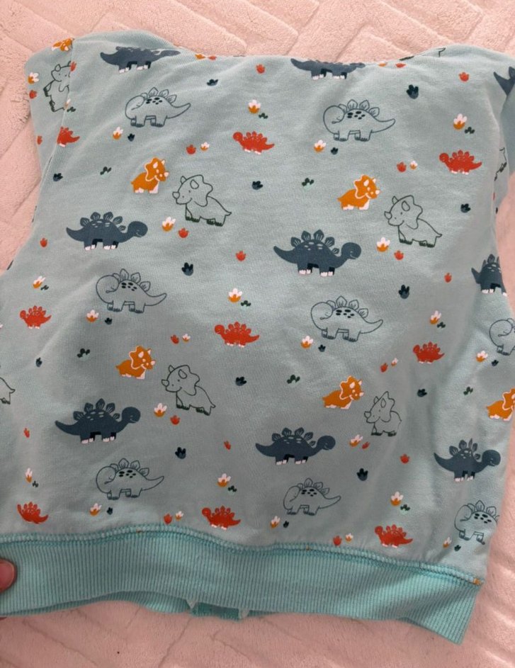 Kapüşonlu Fermuarlı Erkek Çocuk Dinozor Sweatshirt - Görsel 3