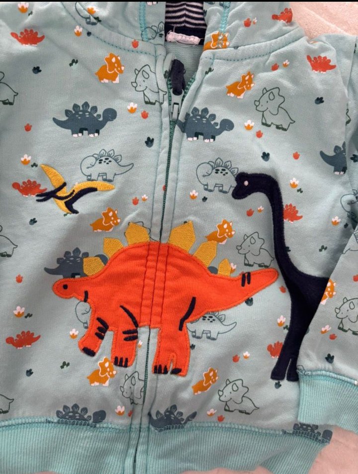 Kapüşonlu Fermuarlı Erkek Çocuk Dinozor Sweatshirt - Görsel 2