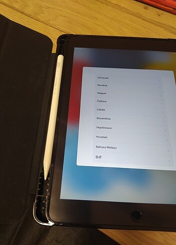 Beden Air 2 ipad