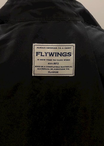 Siyah Kısa Kollu Düğmeli Kadın Gömlek - Görsel 2