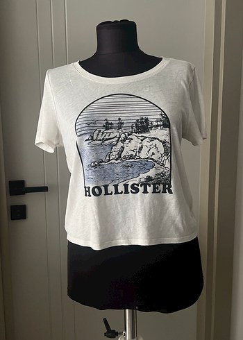 Hollister m