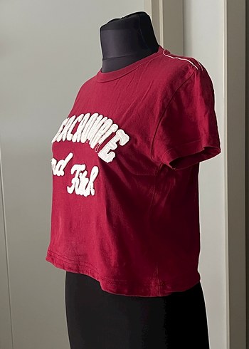 Abercrombie tişört - Görsel 2