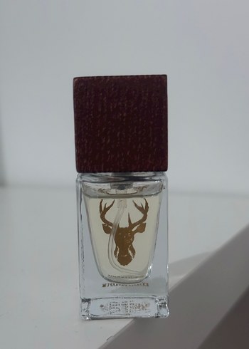 patronus triumph of bacchus - Görsel 3