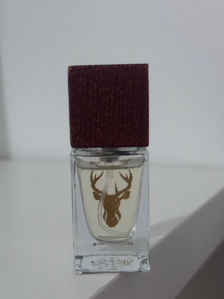 patronus triumph of bacchus - Görsel 3