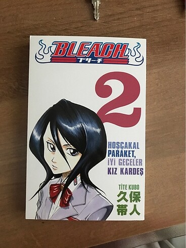 Bleach cilt 2