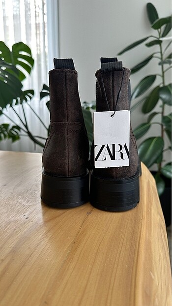 38 Beden Zara bot