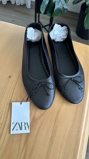 Zara babet