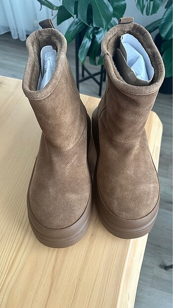 Zara Zara Ugg bot