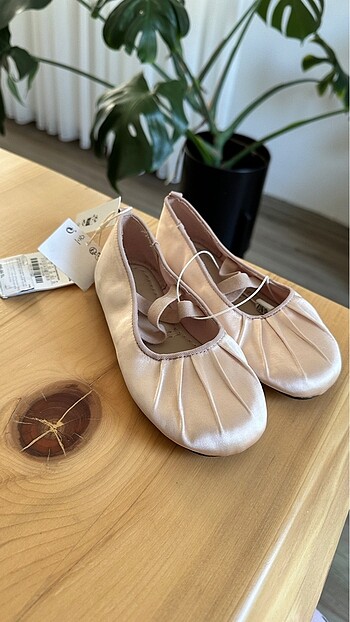 Zara babet