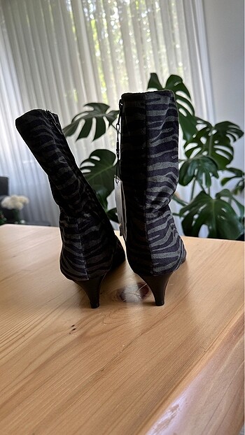 38 Beden Zara bot
