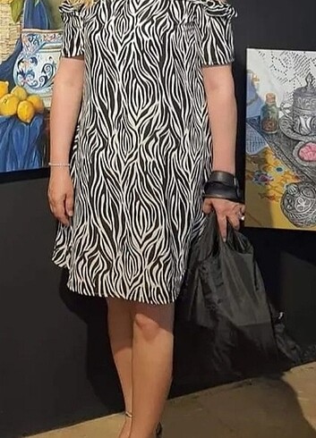 Zebra desenli Elbise
