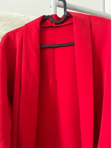 Diğer blazer ceket