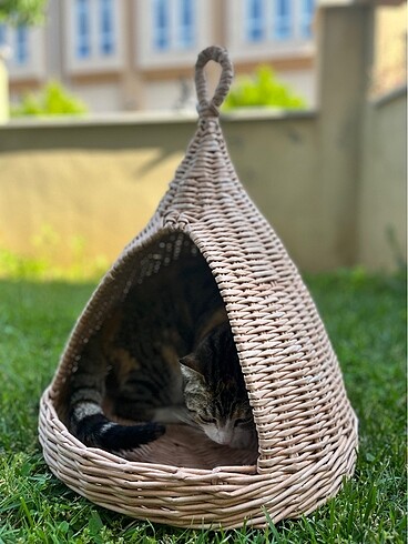 Beden Hasır kedi evi