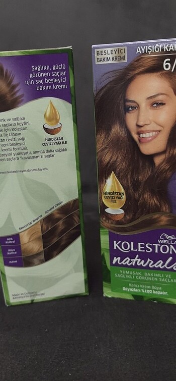  Beden Koleston 