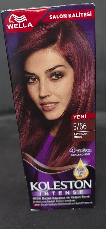 Koleston - Görsel 3