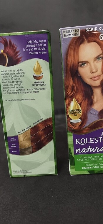 Koleston - Görsel 3