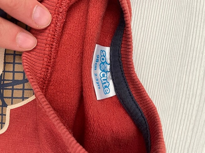 Diğer 2?lü üst