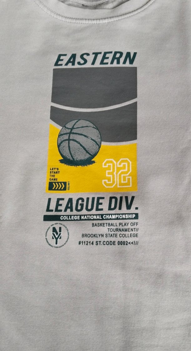 Gri Baskılı Uzun Kollu Sweatshirt - Görsel 3