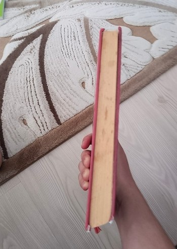 Ciltli Saftirik Greg'in Günlüğü Kitabı. - Görsel 2