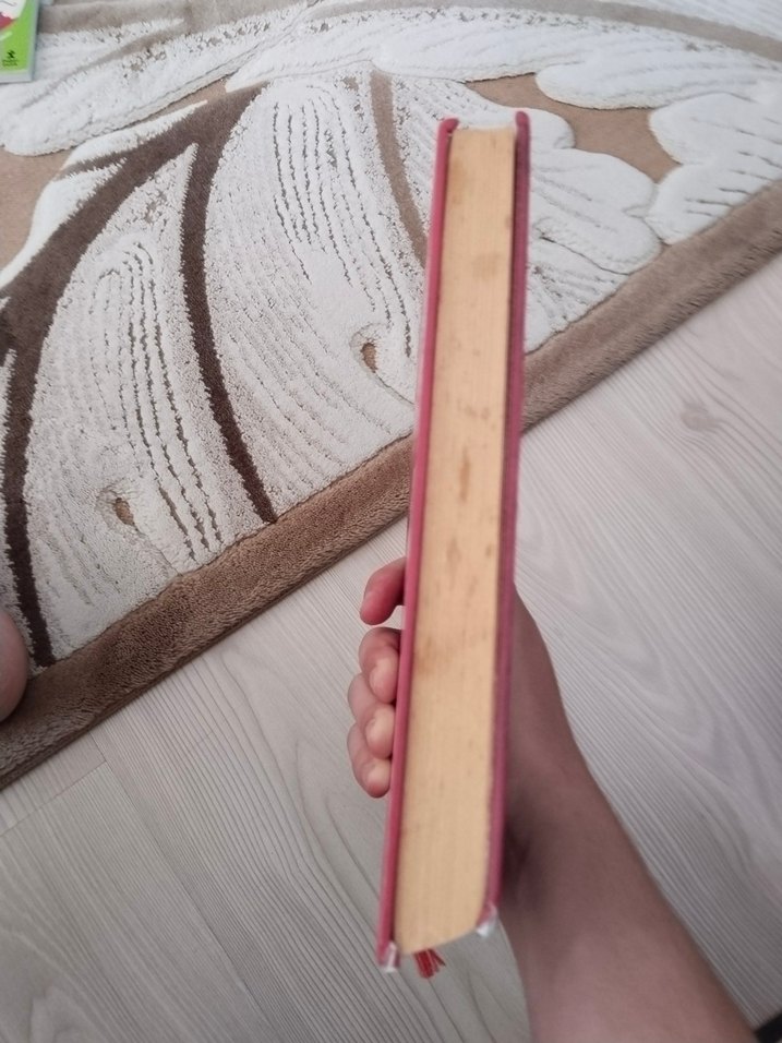 Ciltli Saftirik Greg'in Günlüğü Kitabı. - Görsel 2