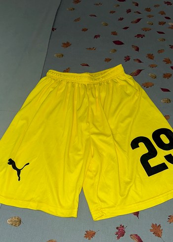 Sarı Mini Erkek Spor Şort
