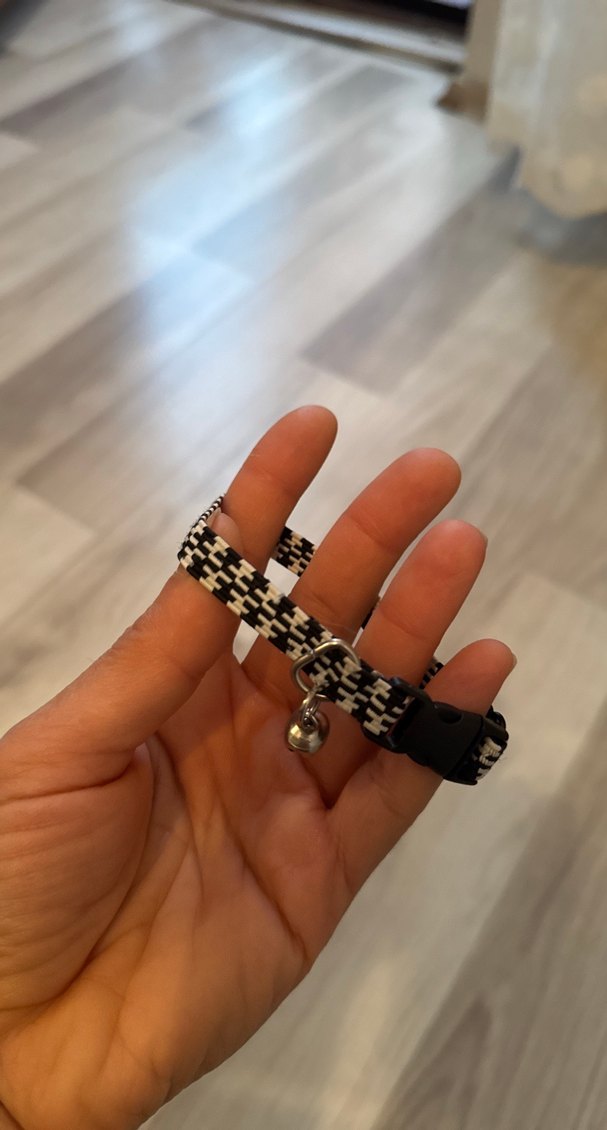 Kahverengi Desenli Kedi Tasması - Görsel 2