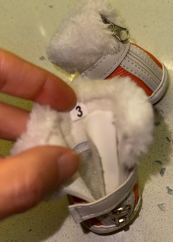 Beden Köpek ayakkabısı