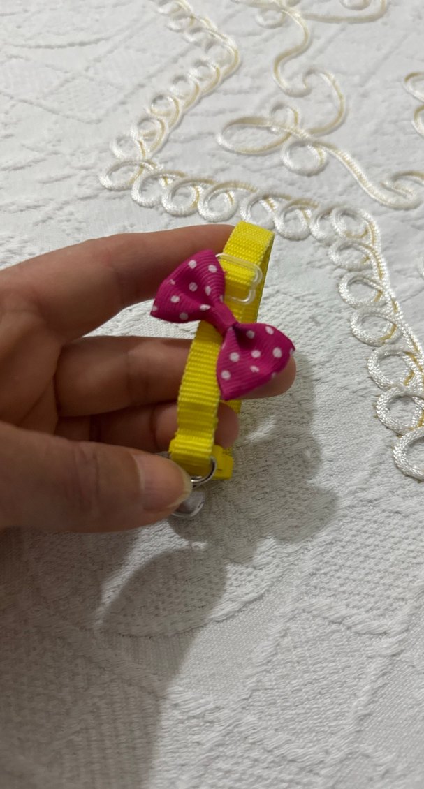 Sarı Renkli Kedi Tasması ve Zil - Görsel 2